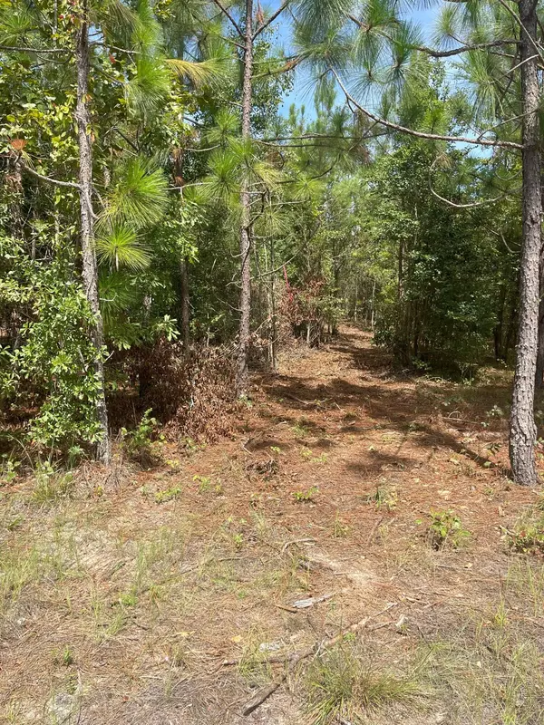 Westville, SC 29175,Ppf 7 Payne Pond Rd #Ppf 7