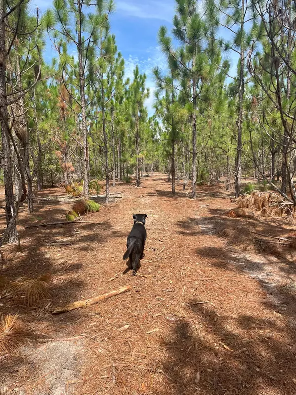 Ppf 8 Payne Pond Rd #Ppf 8, Westville, SC 29175