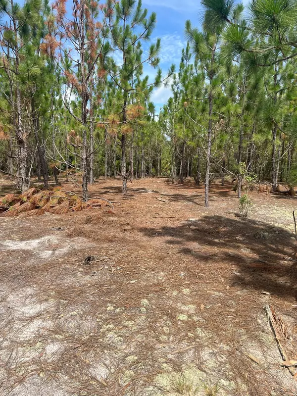 Westville, SC 29175,Ppf 9 Payne Pond Rd #Ppf 9