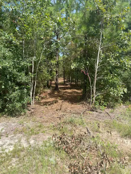 Ppf 11 Payne Pond Rd #Ppf 11, Westville, SC 29175