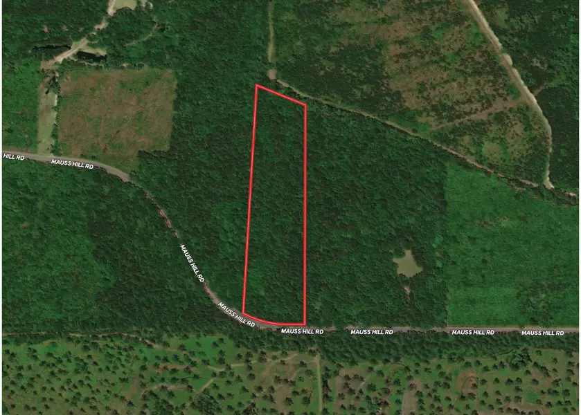 1 Mauss Hill Rd, Adams Run, SC 29426