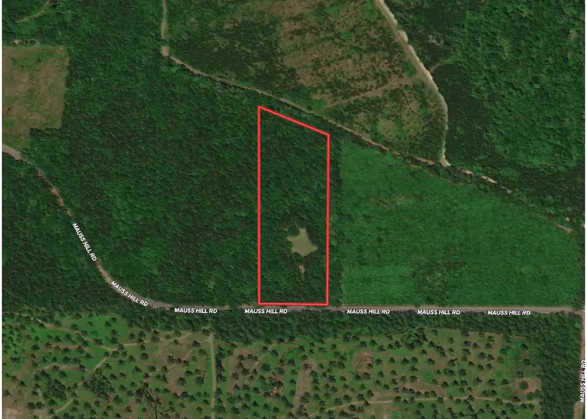 5496 Mauss Hill Rd, Adams Run, SC 29426