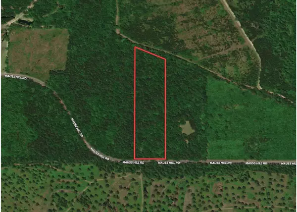 5522 Mauss Hill Rd, Adams Run, SC 29426