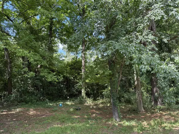 Orangeburg, SC 29118,0 Off North Rd