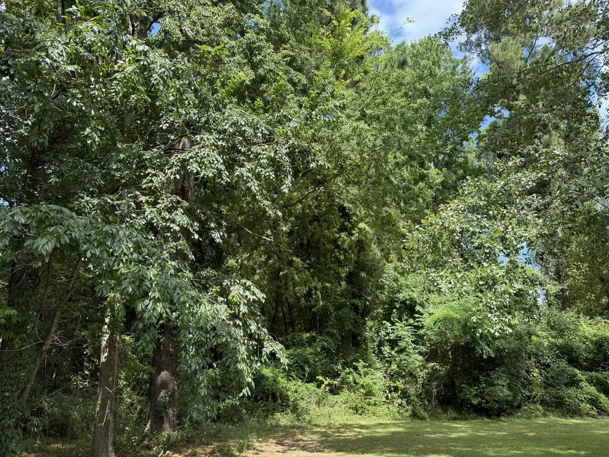 Orangeburg, SC 29118,0 Off North Rd