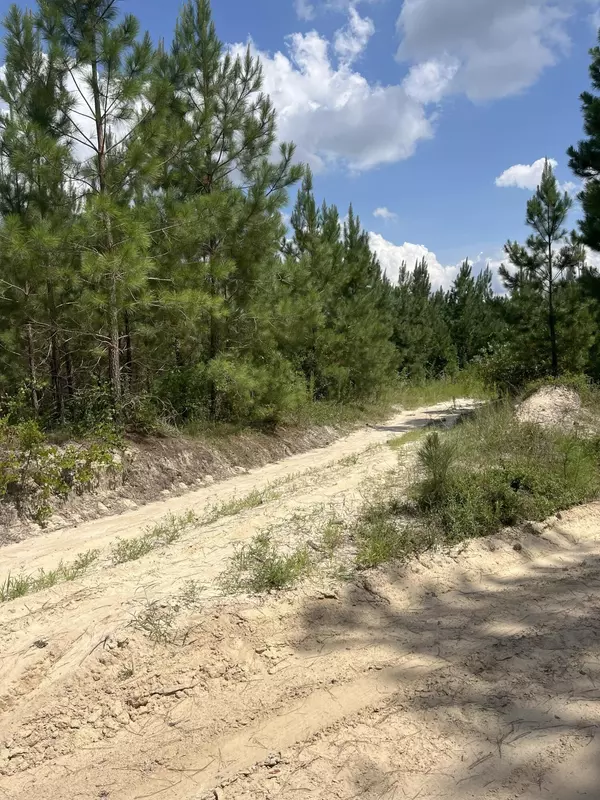 Patrick, SC 29584,Bff 4 Brunson Teal Rd #Bff 4