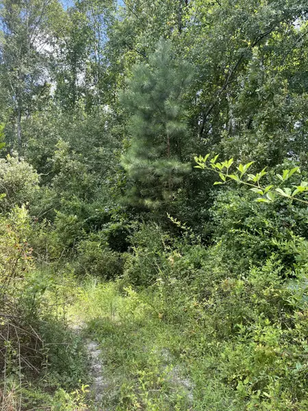 Bff 5 Brunson Teal Rd #Bff 5, Patrick, SC 29584