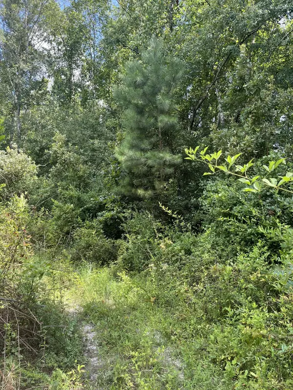 Bff 5 Brunson Teal Rd #Bff 5, Patrick, SC 29584