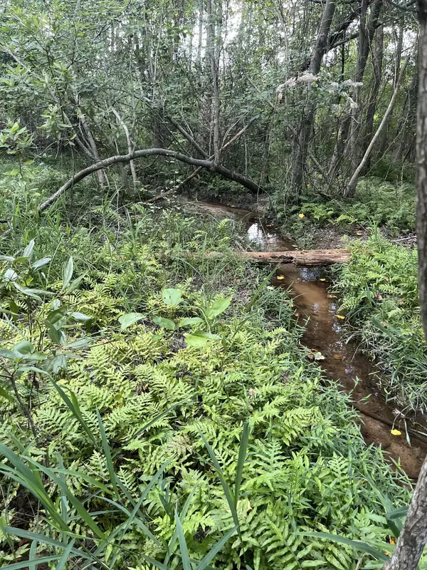 Patrick, SC 29584,Bff 5 Brunson Teal Rd #Bff 5