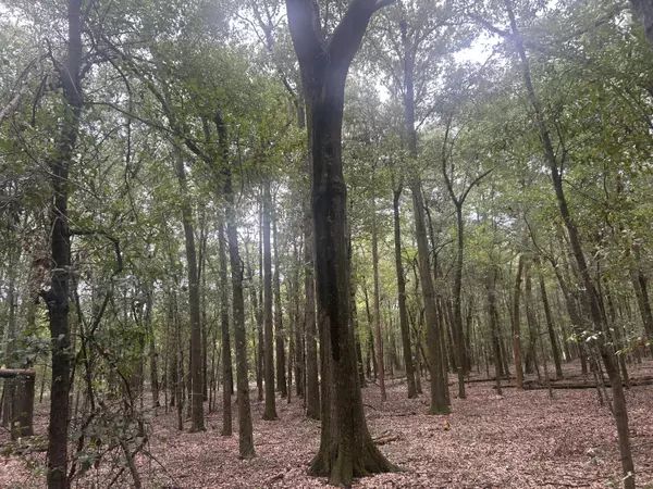 Summerton, SC 29148,2 Francis Marion Blvd