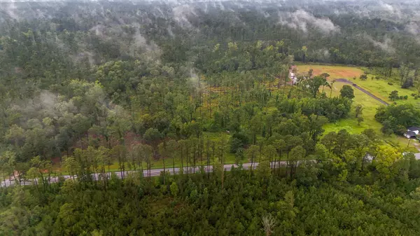 Ridgeville, SC 29472,1035 Sc-61