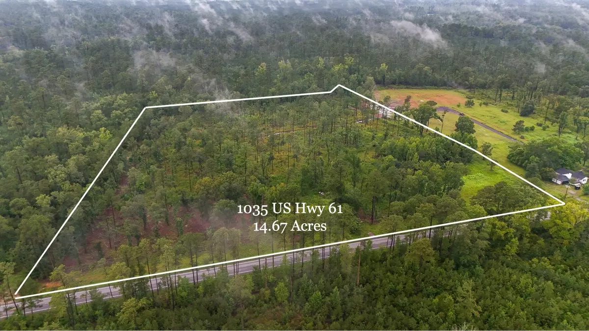 Ridgeville, SC 29472,1035 Sc-61