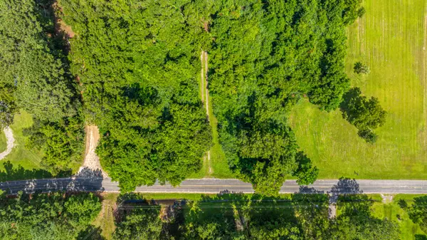 Wadmalaw Island, SC 29487,1151 Harts Bluff Rd