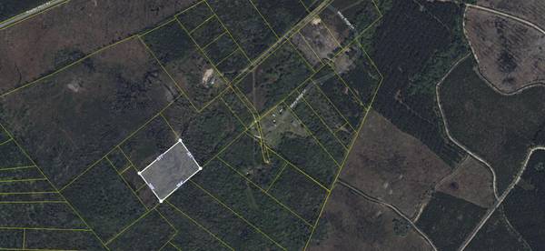 Walterboro, SC 29488,000 Misty Ridge Ln