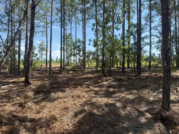 Westville, SC 29175,Kf 1 Keys Ln #Kf 1