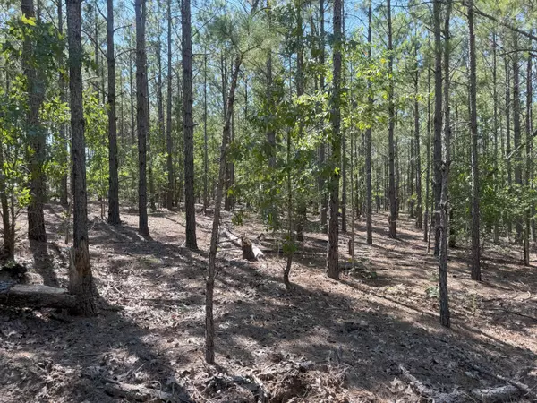 Westville, SC 29175,Kf 3 Keys Ln #Kf 3