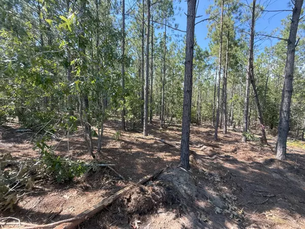 Westville, SC 29175,Kf 3 Keys Ln #Kf 3