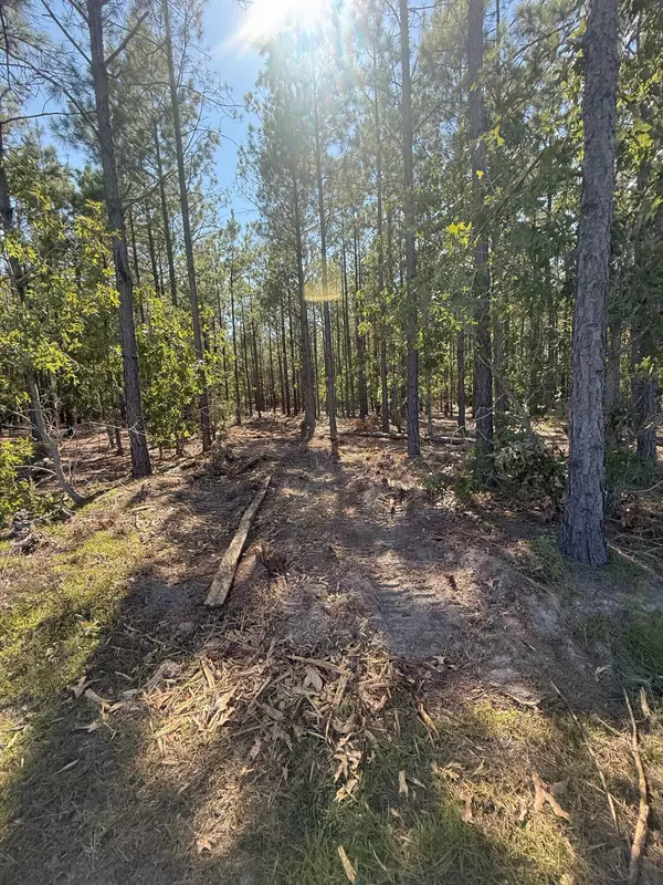 Westville, SC 29175,Kf 7 Providence Rd #Kf 7