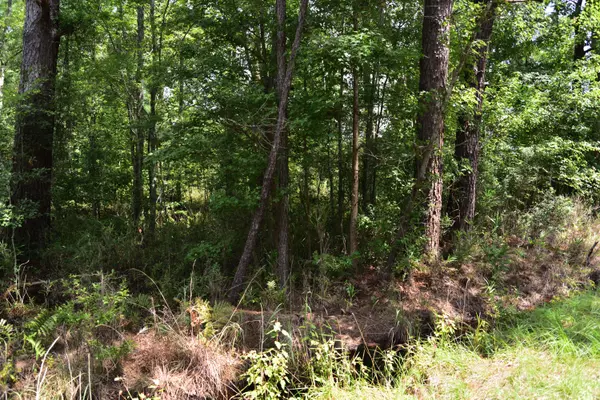 Hollywood, SC 29449,0 Cherry Hill Rd