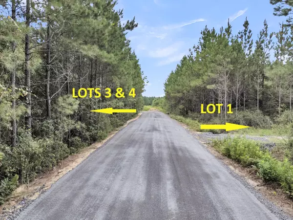 Mcclellanville, SC 29458,Lot 1 Silas Rd