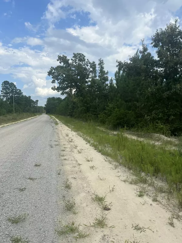 Patrick, SC 29584,Bff 2b Brunson Teal Rd #Bff 2b