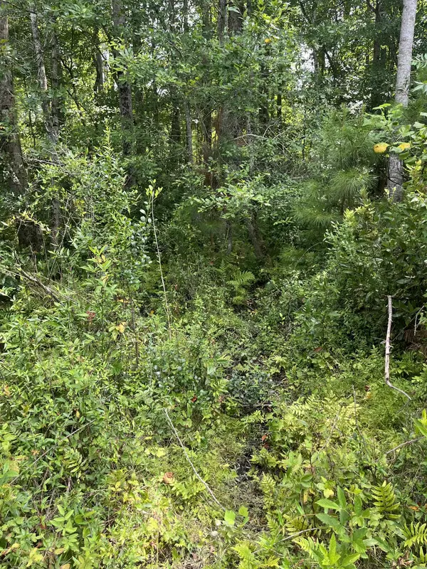 Patrick, SC 29584,Bff 3a Brunson Teal Rd #Bff 3a