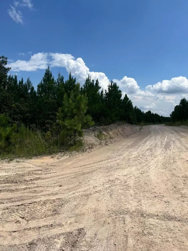 Patrick, SC 29584,Bff 3b Brunson Teal Rd #Bff 3b