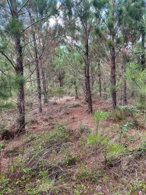 Patrick, SC 29584,Bff 1a Brunson Teal Rd #Bff 1a