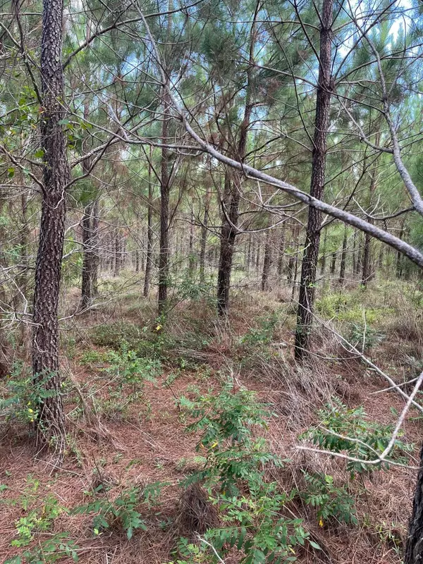 Patrick, SC 29584,Bff 1a Brunson Teal Rd #Bff 1a