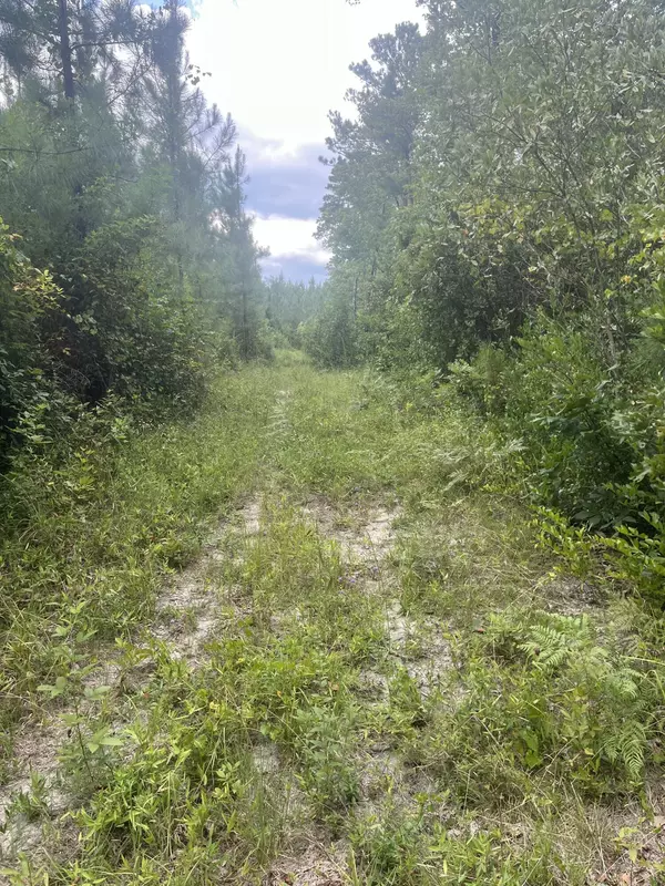 Patrick, SC 29584,Bff 1a Brunson Teal Rd #Bff 1a