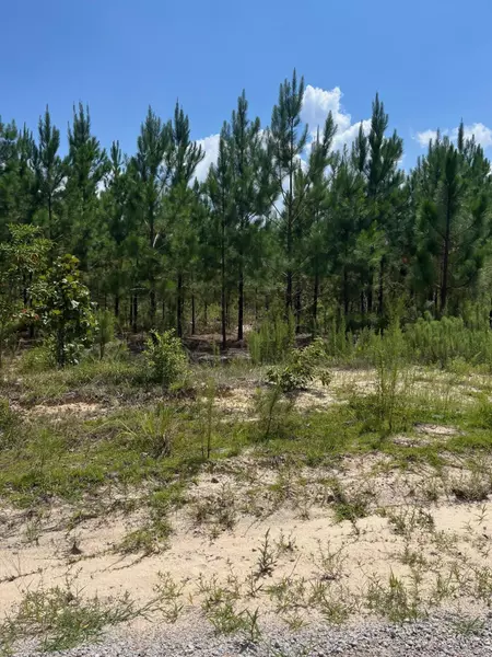 Bff 1c Brunson Teal Rd #Bff 1c, Patrick, SC 29584