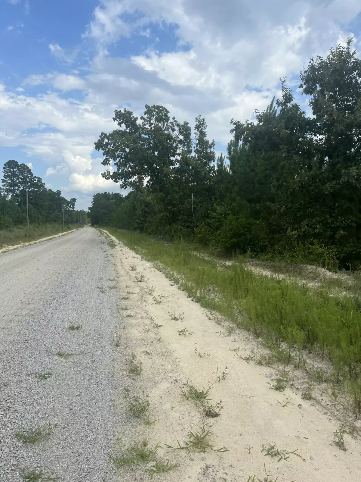 Patrick, SC 29584,Bff 1d Brunson Teal Rd #Bff 1d