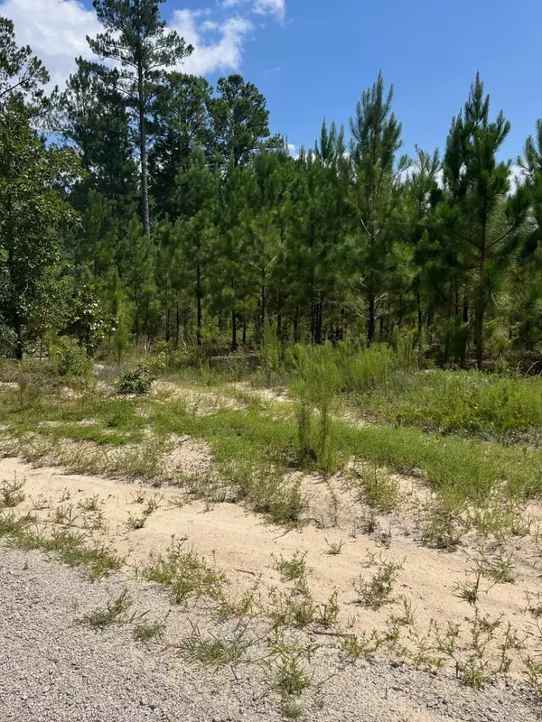 Patrick, SC 29584,Bff 1e Brunson Teal Rd #Bff 1e