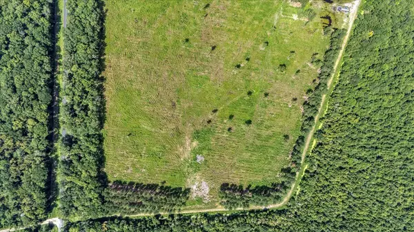 Ridgeville, SC 29472,00 Summers Dr