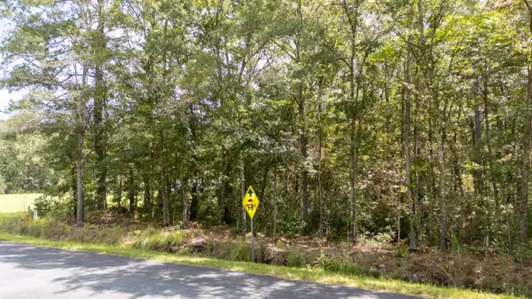 Green Pond, SC 29446,0 Spring Hill Rd