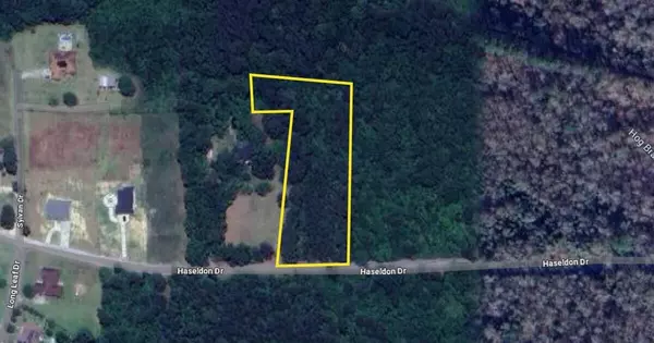 1868 Haseldon Dr, Manning, SC 29102