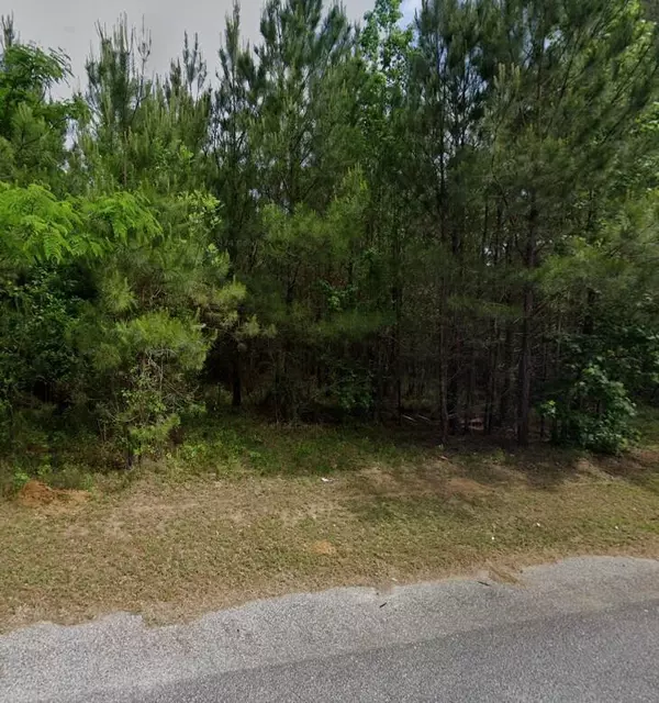 Manning, SC 29102,1868 Haseldon Dr