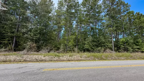 Walterboro, SC 29488,0 Peurifoy Rd