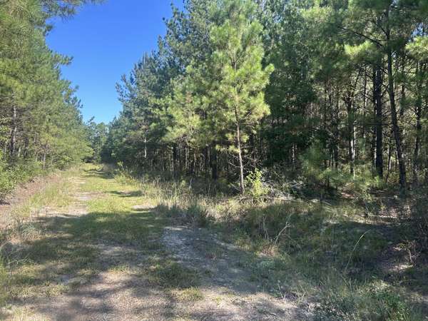 Cottageville, SC 29435,7 Red Oak Rd