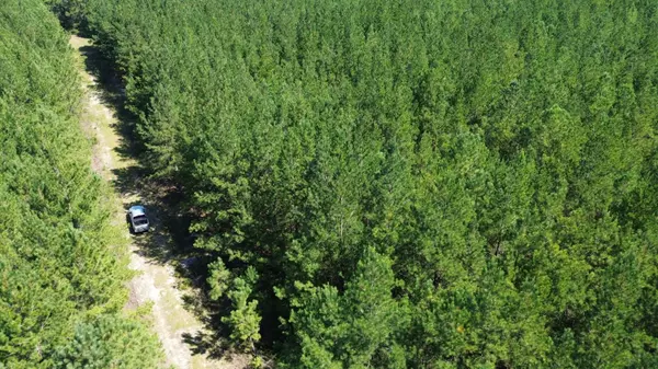 Cottageville, SC 29435,7 Red Oak Rd