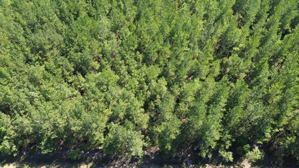 Cottageville, SC 29435,7 Red Oak Rd