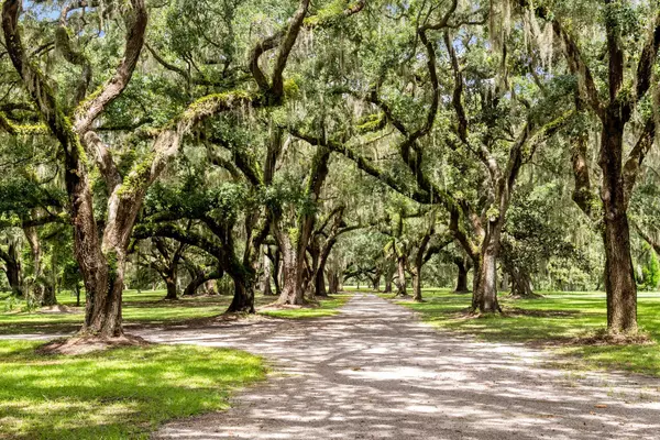 Green Pond, SC 29446,1185 Poco Sabo Ln