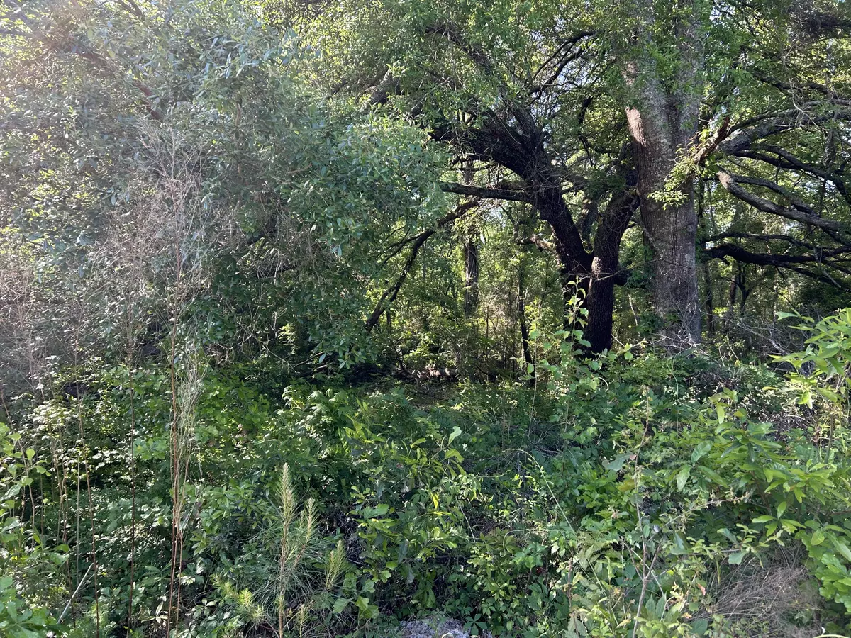 Bamberg, SC 29003,Tbd Black Ave