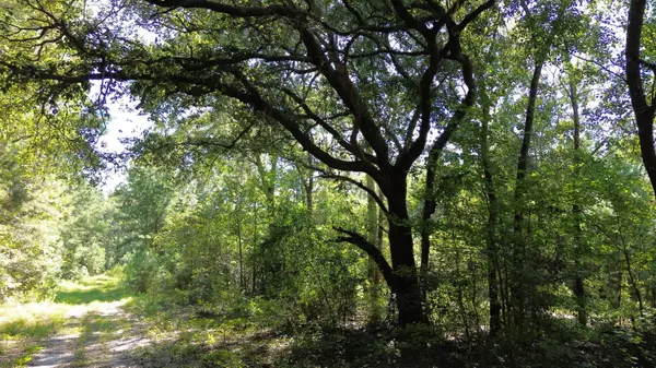 Ruffin, SC 29475,0 Lowcountry Hwy