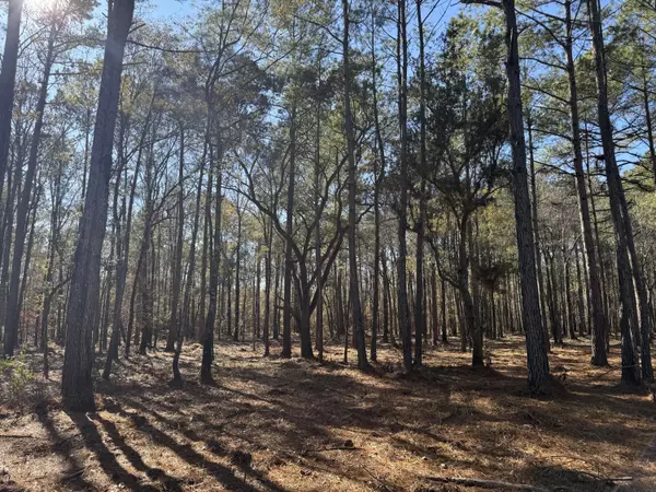 Summerville, SC 29483,0 Brewer Rd