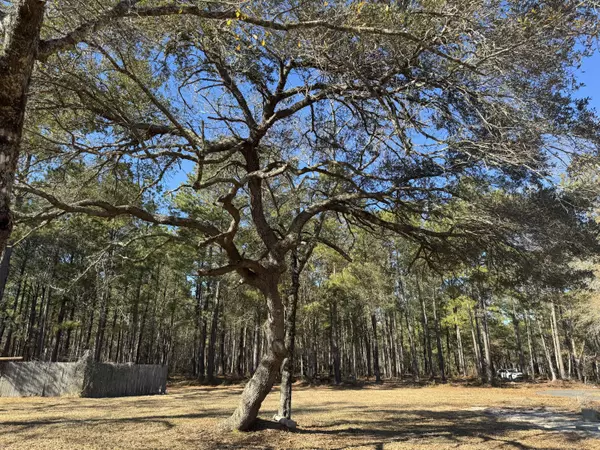 Summerville, SC 29483,0 Brewer Rd