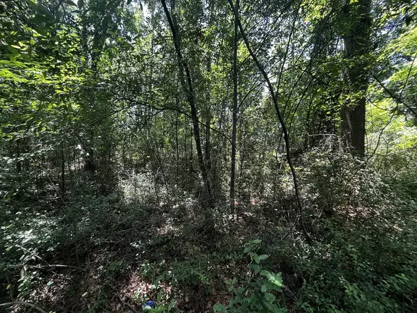 Walterboro, SC 29488,0 Bells Hwy
