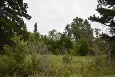 Kingstree, SC 29556,1544 Isabella Rd