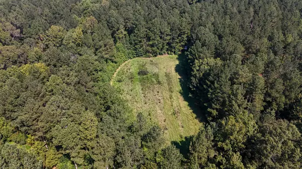 0 Lee Foster Rd, Union, SC 29379