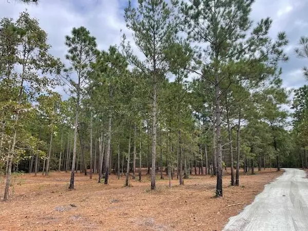 Cross, SC 29436,0 Hwy 45